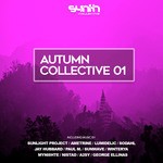 cover: Various - Autumn Collective 01