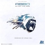 cover: Abbo - After The Rain