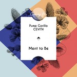 cover: Pump Gorilla & CEVITH - Ment To Be