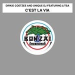 cover: Dirkie Coetzee & Unique Dj|Litsa - C'est La Vie