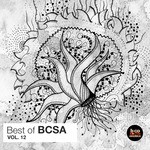 cover: Various - Best Of BCSA Vol 12