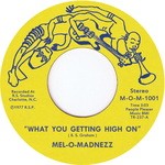 cover: Mel-o-madnezz - What You Getting High On