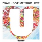 cover: Zsak - Give Me Your Love