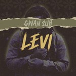 cover: Levi - Gwan Suh