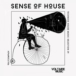 cover: Various - Sense Of House Vol 39