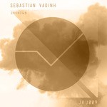 cover: Sebastian VadÃƒÂ­nh - Unknown