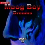 cover: Moog Boy - Dreams