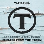 cover: Lee Dagger & Sian Evans - Shelter From The Storm