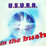 cover: Usura - In The Bush