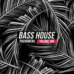 cover: Various - Bass House Phenomena Vol 1