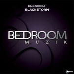 cover: Dani Carrera - Black Storm