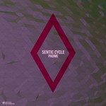 cover: Sentic Cycle - Padme