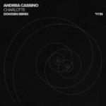 cover: Andrea Cassino - Charlotte