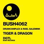 cover: Drumcomplex|Roel Salemink - Tiger & Dragon