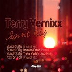 cover: Terry Vernixx - Sunset City