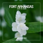 cover: Fort Arkansas - Hear The Sound