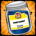 cover: Danny Harris - Changing