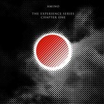 cover: Amino - The Experience Series Chapter One