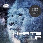 cover: Dark Droid & Daito - What's Up