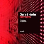 cover: Dsh & Kelle - Berries