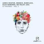 cover: Alex Ranerro|Dubfluss|James Dexter|Mennie|No Rules (uk) - & Friends Vol 1