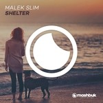 cover: Malek Slim - Shelter