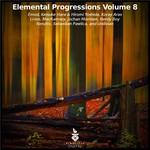 cover: Various - Elemental Progressions Vol 8