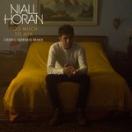 cover: Niall Horan - Too Much To Ask