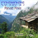 cover: Cosmosis - Parvati Pines