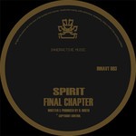 cover: Spirit - Final Chapter