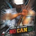 cover: Promise No Promises - No Can Do