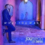 cover: Davido|Jay Sean - What You Want