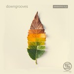 cover: Downgrooves - Seasons