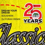 cover: Dream Your Dream - Soushkin