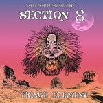 cover: Section 8 - Fringe Element