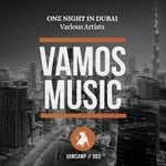 cover: Various - One Night In Dubai