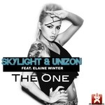 cover: Skylight & Unizon - The One