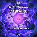 cover: Braincell|Mandala (uk) - Cellular Mandala