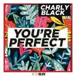 cover: Charly Black - You're Perfect