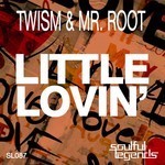 cover: Twism & Mr Root - Little Lovin'