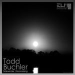 cover: Todd Buchler - Sidewinder