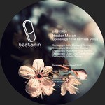 cover: Hector Moran - GOOSEPOPS The Remixes 01