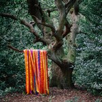 cover: James Holden & The Animal Spirits - The Animal Spirits