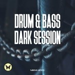 cover: Various - Drum & Bass Dark Session