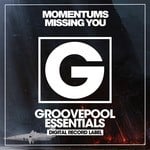 cover: Momentums - Missing You