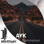 cover: Ayk - Rumination