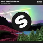 cover: Alok|Mathieu Koss - Big Jet Plane