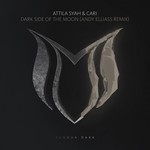 cover: Attila Syah & Cari - Dark Side Of The Moon (Andy Elliass Remix)