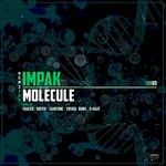 cover: Impak - Molecule Remixed