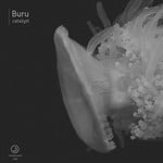 cover: Buru - Catalyst